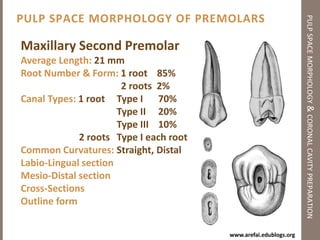 Principles of Coronal Cavity Preparationpulp space morphology & coronal cavity preparationCoronal Cavity Preparation (Access Cavity)Radicular Cavity Preparation (Cleaning & Shaping)Outline formConvenience formComplete removal of caries & old fillingsToilet of the cavity