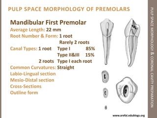 Message of the Day…pulp space morphology & coronal cavity preparationSLA