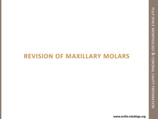 Question #2:pulp space morphology & coronal cavity preparationWe know how to get into the pulp but what is missing?
