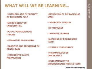 EndodonticsAnother Definition…It is the study and practice of the:Biology of the normal pulpEtiologyDiagnosisPreventionTreatment of diseases and injuries OFThe pulp and periradicular conditions