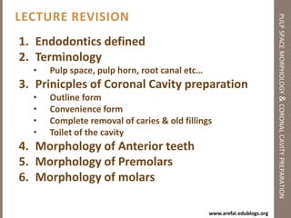 errors during Cavity Preparation of Anterior Teethpulp space morphology & coronal cavity preparationGougingGougingPerforationDiscolorationNarrow Access