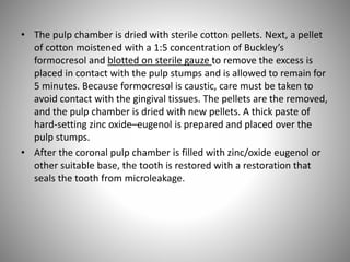 • The pulp chamber is dried with sterile cotton pellets. Next, a pellet
of cotton moistened with a 1:5 concentration of Buckley’s
formocresol and blotted on sterile gauze to remove the excess is
placed in contact with the pulp stumps and is allowed to remain for
5 minutes. Because formocresol is caustic, care must be taken to
avoid contact with the gingival tissues. The pellets are the removed,
and the pulp chamber is dried with new pellets. A thick paste of
hard-setting zinc oxide–eugenol is prepared and placed over the
pulp stumps.
• After the coronal pulp chamber is filled with zinc/oxide eugenol or
other suitable base, the tooth is restored with a restoration that
seals the tooth from microleakage.
 