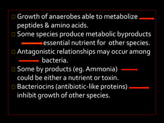 Growth of anaerobes able to metabolize 
peptides & amino acids. 
Some species produce metabolic byproducts 
essential nutrient for other species. 
Antagonistic relationships may occur among 
bacteria. 
Some by products (eg. Ammonia) 
could be either a nutrient or toxin. 
Bacteriocins (antibiotic-like proteins) 
inhibit growth of other species. 
 