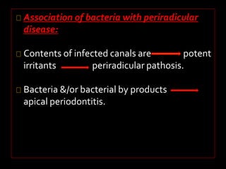 Association of bacteria with periradicular 
disease: 
Contents of infected canals are potent 
irritants periradicular pathosis. 
Bacteria &/or bacterial by products 
apical periodontitis. 
 