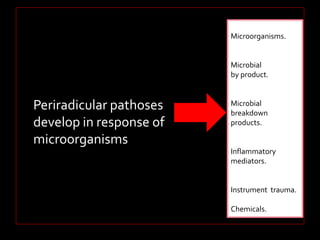 Periradicular pathoses 
develop in response of 
microorganisms 
Microorganisms. 
Microbial 
by product. 
Microbial 
breakdown 
products. 
Inflammatory 
mediators. 
Instrument trauma. 
Chemicals. 
 