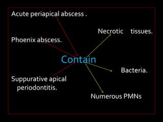 Acute periapical abscess . 
Necrotic tissues. 
Phoenix abscess. 
Contain 
Bacteria. 
Suppurative apical 
periodontitis. 
Numerous PMNs 
 