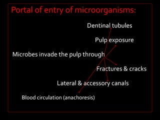 Portal of entry of microorganisms: 
Dentinal tubules 
Pulp exposure 
Microbes invade the pulp through 
Fractures & cracks 
Lateral & accessory canals 
Blood circulation (anachoresis) 
 