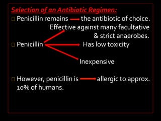Selection of an Antibiotic Regimen: 
Penicillin remains the antibiotic of choice. 
Effective against many facultative 
& strict anaerobes. 
Penicillin Has low toxicity 
Inexpensive 
However, penicillin is allergic to approx. 
10% of humans. 
 
