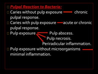 Pulpal Reaction to Bacteria: 
Caries without pulp exposure chronic 
pulpal response. 
Caries with pulp exposure acute or chronic 
pulpal response. 
Pulp exposure Pulp abscess. 
Pulp necrosis. 
Periradicular inflammation. 
Pulp exposure without microorganisms 
minimal inflammation. 
 