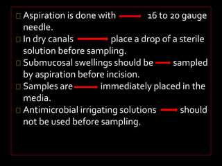 Aspiration is done with 16 to 20 gauge 
needle. 
In dry canals place a drop of a sterile 
solution before sampling. 
Submucosal swellings should be sampled 
by aspiration before incision. 
Samples are immediately placed in the 
media. 
Antimicrobial irrigating solutions should 
not be used before sampling. 
 