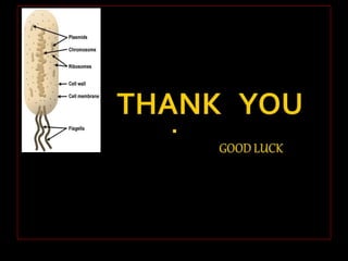 Endodontics microbiology