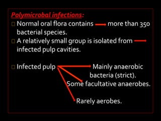 Polymicrobal infections: 
Normal oral flora contains more than 350 
bacterial species. 
A relatively small group is isolated from 
infected pulp cavities. 
Infected pulp Mainly anaerobic 
bacteria (strict). 
Some facultative anaerobes. 
Rarely aerobes. 
 