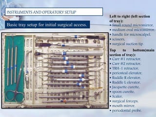 INSTRUMENTS AND OPERATORY SETUP
Left to right (left section
of tray):
 Small round micromirror,
 medium oval micromirror,
 handle for microscalpel,
 scissors,
 surgical suction tip.
Top to bottom(main
section of tray):
 Carr #1 retractor,
 Carr #2 retractor,
 TRH-1 retractor,
 periosteal elevator,
 Ruddle R elevator,
 Ruddle L elevator,
 Jacquette curette,
 spoon curette,
 Scaler,
 surgical forceps,
 mouth mirror,
 periodontal probe.
Basic tray setup for initial surgical access.
 