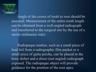 Angle of the crown of tooth to root should be
assessed. Measurement of the entire tooth length
can be obtained from a well-angled radiograph
and transferred to the surgical site by the use of a
sterile millimeter ruler.
Radiopaque marker, such as a small piece of
lead foil from a radiographic film packet or a
small piece of gutta percha, can be placed in the
bony defect and a direct (not angled) radiograph
exposed. The radiopaque object will provide
guidance for the position of the root apex.
 