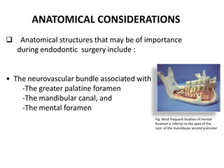 ANATOMICAL CONSIDERATIONS
 Anatomical structures that may be of importance
during endodontic surgery include :
• The neurovascular bundle associated with
-The greater palatine foramen
-The mandibular canal, and
-The mental foramen
Fig: Most frequent location of mental
foramen is inferior to the apex of the
root of the mandibular second premolar
 