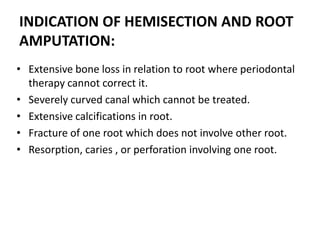 INDICATION OF HEMISECTION AND ROOT
AMPUTATION:
• Extensive bone loss in relation to root where periodontal
therapy cannot correct it.
• Severely curved canal which cannot be treated.
• Extensive calcifications in root.
• Fracture of one root which does not involve other root.
• Resorption, caries , or perforation involving one root.
 