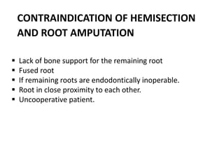 CONTRAINDICATION OF HEMISECTION
AND ROOT AMPUTATION
 Lack of bone support for the remaining root
 Fused root
 If remaining roots are endodontically inoperable.
 Root in close proximity to each other.
 Uncooperative patient.
 