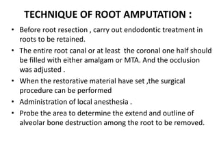TECHNIQUE OF ROOT AMPUTATION :
• Before root resection , carry out endodontic treatment in
roots to be retained.
• The entire root canal or at least the coronal one half should
be filled with either amalgam or MTA. And the occlusion
was adjusted .
• When the restorative material have set ,the surgical
procedure can be performed
• Administration of local anesthesia .
• Probe the area to determine the extend and outline of
alveolar bone destruction among the root to be removed.
 