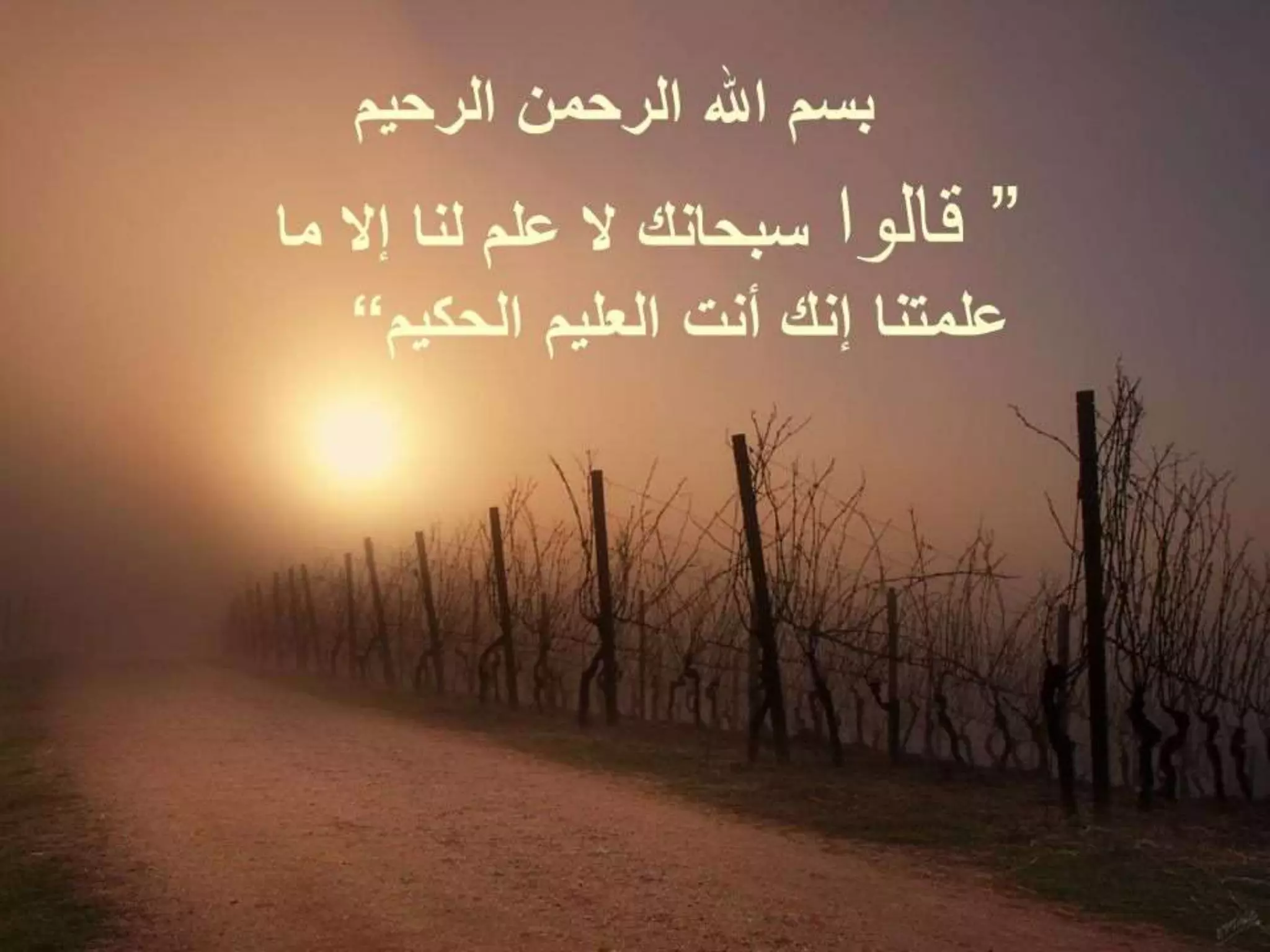 Endodontic tips and tricks PPT