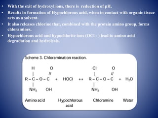 • With the exit of hydroxyl ions, there is reduction of pH.
• Results in formation of Hypochlorous acid, when in contact with organic tissue
acts as a solvent.
• It also releases chlorine that, combined with the protein amino group, forms
chloramines.
• Hypochlorous acid and hypochlorite ions (OCl - ) lead to amino acid
degradation and hydrolysis.
 