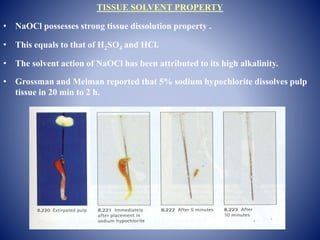 TISSUE SOLVENT PROPERTY
• NaOCl possesses strong tissue dissolution property .
• This equals to that of H2SO4 and HCl.
• The solvent action of NaOCl has been attributed to its high alkalinity.
• Grossman and Meiman reported that 5% sodium hypochlorite dissolves pulp
tissue in 20 min to 2 h.
 