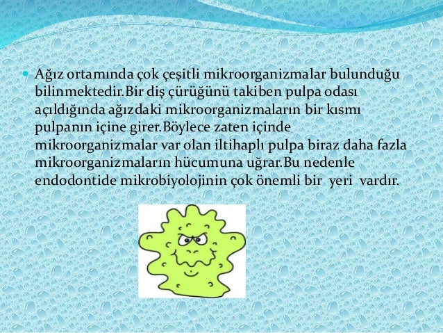 Agiz Ve Dislerin Yapisi Dis Estetigi Gulus Tasarimi Dr Dt Omer Bayar