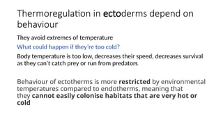 Thermoregulation in ectoderms depend on
behaviour
They avoid extremes of temperature
What could happen if they’re too cold?
Body temperature is too low, decreases their speed, decreases survival
as they can’t catch prey or run from predators
Behaviour of ectotherms is more restricted by environmental
temperatures compared to endotherms, meaning that
they cannot easily colonise habitats that are very hot or
cold
 