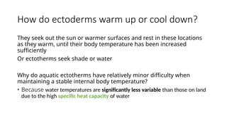 How do ectoderms warm up or cool down?
They seek out the sun or warmer surfaces and rest in these locations
as they warm, until their body temperature has been increased
sufficiently
Or ectotherms seek shade or water
Why do aquatic ectotherms have relatively minor difficulty when
maintaining a stable internal body temperature?
• Because water temperatures are significantly less variable than those on land
due to the high specific heat capacity of water
 