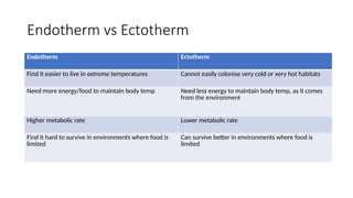 Endotherm vs Ectotherm
Endotherm Ectotherm
Find it easier to live in extreme temperatures Cannot easily colonise very cold or very hot habitats
Need more energy/food to maintain body temp Need less energy to maintain body temp, as it comes
from the environment
Higher metabolic rate Lower metabolic rate
Find it hard to survive in environments where food is
limited
Can survive better in environments where food is
limited
 