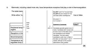endoderm and ectoderms a level biology AQA .pptx