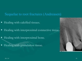 28-1-10 59
Sequelae to root fractures (Andreasen)
 Healing with calcified tissues.
 Healing with interproximal connective tissue.
 Healing with interproximal bone.
 Healing with granulation tissue.
 