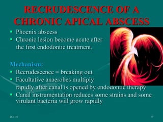 RECRUDESCENCE OF A
CHRONIC APICAL ABSCESS
 Phoenix abscess
 Chronic lesion become acute after
the first endodontic treatment.
Mechanism:
 Recrudescence = breaking out
 Facultative anaerobes multiply
rapidly after canal is opened by endodontic therapy
 Canal instrumentation reduces some strains and some
virulant bacteria will grow rapidly
28-1-10 77
 