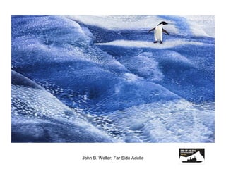 John B. Weller, Far Side Adelie 