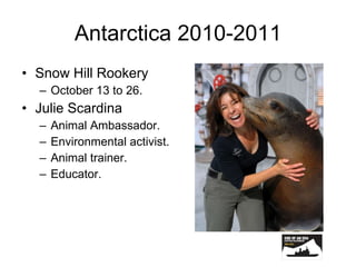 Antarctica 2010-2011 Snow Hill Rookery October 13 to 26. Julie Scardina Animal Ambassador. Environmental activist. Animal trainer. Educator. 