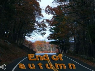 End of autumn (v.m.)