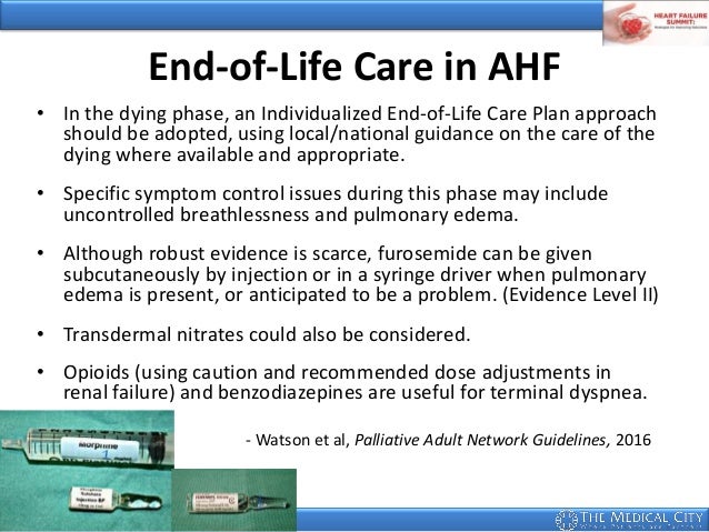 What kind of palliative care is offered for the end stages of kidney failure?