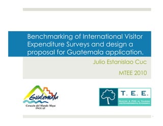 Benchmarking of International Visitor
Expenditure Surveys and design a
proposal for Guatemala application.
                    Julio Estanislao Cuc
                             MTEE 2010




                                           1
 