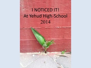 I NOTICED IT!
At Yehud High-School
2014
 