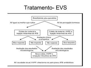 Tratamento- EVS
 