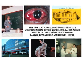 ESTE TRABALHO FOI REALIZADO NA LOUISIANA STATE
UNIVERSITY MEDICAL CENTER, NEW ORLEANS, LA, COM AUXÍLIO
DE BOLSA DA CAPES, A NÍVEL DE DOUTORADO –
SANDUÍCHE(FAC.MEDICINA-UFMG/LSUMC) – 1997/98
 