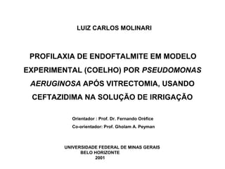 LUIZ CARLOS MOLINARI
PROFILAXIA DE ENDOFTALMITE EM MODELO
EXPERIMENTAL (COELHO) POR PSEUDOMONAS
AERUGINOSA APÓS VITRECTOMIA, USANDO
CEFTAZIDIMA NA SOLUÇÃO DE IRRIGAÇÃO
Orientador : Prof. Dr. Fernando Oréfice
Co-orientador: Prof. Gholam A. Peyman
UNIVERSIDADE FEDERAL DE MINAS GERAIS
UNIVERSIDADE UNIVERSIDADE FEDERAL DE MINAS GERAIS
BELO HORIZONTE
2001
 