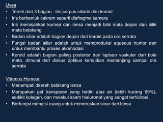 Uvea
• Terdiri dari 3 bagian : Iris,corpus siliaris dan koroid
• Iris berbentuk cakram seperti diafragma kamera
• Iris memisahkan kornea dan lensa menjadi bilik mata depan dan bilik
mata belakang
• Badan siliar adalah bagian depan dari koroid pada ora serrata
• Fungsi badan siliar adalah untuk memproduksi aqueous humor dan
untuk membantu proses akomodasi
• Koroid adalah bagian paling posterior dari lapisan vaskular dari bola
mata, dimulai dari diskus optikus kemudian memanjang sampai ora
serrata
Vitreous Humour
• Menempati daerah belakang lensa
• Merupakan gel transparan yang terdiri atas air (lebih kurang 99%),
sedikit kolagen, dan molekul asam hialuronat yang sangat terhidrasi
• Berfungsi mengisi ruang untuk meneruskan sinar dari lensa
 