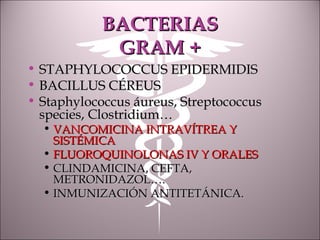 BACTERIASBACTERIAS
GRAM +GRAM +
• STAPHYLOCOCCUS EPIDERMIDISSTAPHYLOCOCCUS EPIDERMIDIS
• BACILLUS CÉREUSBACILLUS CÉREUS
• Staphylococcus áureus, StreptococcusStaphylococcus áureus, Streptococcus
species, Clostridium…species, Clostridium…
• VANCOMICINA INTRAVÍTREA YVANCOMICINA INTRAVÍTREA Y
SISTÉMICASISTÉMICA
• FLUOROQUINOLONAS IV Y ORALESFLUOROQUINOLONAS IV Y ORALES
• CLINDAMICINA, CEFTA,CLINDAMICINA, CEFTA,
METRONIDAZOL….METRONIDAZOL….
• INMUNIZACIÓN ANTITETÁNICA.INMUNIZACIÓN ANTITETÁNICA.
 