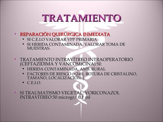 TRATAMIENTOTRATAMIENTO
• REPARACIÓN QUIRÚRGICA INMEDIATAREPARACIÓN QUIRÚRGICA INMEDIATA
• SI C.E.I.O VALORAR VPP PRIMARIASI C.E.I.O VALORAR VPP PRIMARIA
• SI HERIDA CONTAMINADA, VALORAR TOMA DESI HERIDA CONTAMINADA, VALORAR TOMA DE
MUESTRAS.MUESTRAS.
• TRATAMIENTO INTRAVÍTREO INTRAOPERATORIOTRATAMIENTO INTRAVÍTREO INTRAOPERATORIO
(CEFTAZIDIMA Y VANCOMICINA) SI:(CEFTAZIDIMA Y VANCOMICINA) SI:
• HERIDA CONTAMINADA, AMB. RURALHERIDA CONTAMINADA, AMB. RURAL
• FACTORES DE RIESGO (+24H, ROTURA DE CRISTALINO,FACTORES DE RIESGO (+24H, ROTURA DE CRISTALINO,
TAMAÑO, LOCALIZACIÓN..)TAMAÑO, LOCALIZACIÓN..)
• C.E.I.O.C.E.I.O.
• SI TRAUMATISMO VEGETAL: VORICONAZOLSI TRAUMATISMO VEGETAL: VORICONAZOL
INTRAVÍTREO 50 microgr/ 0.1 mlINTRAVÍTREO 50 microgr/ 0.1 ml
 