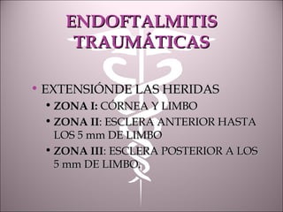 ENDOFTALMITISENDOFTALMITIS
TRAUMÁTICASTRAUMÁTICAS
• EXTENSIÓNDE LAS HERIDASEXTENSIÓNDE LAS HERIDAS
• ZONA I:ZONA I: CÓRNEA Y LIMBOCÓRNEA Y LIMBO
• ZONA IIZONA II: ESCLERA ANTERIOR HASTA: ESCLERA ANTERIOR HASTA
LOS 5 mm DE LIMBOLOS 5 mm DE LIMBO
• ZONA IIIZONA III: ESCLERA POSTERIOR A LOS: ESCLERA POSTERIOR A LOS
5 mm DE LIMBO.5 mm DE LIMBO.
 