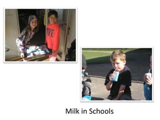 Milk in Schools
 