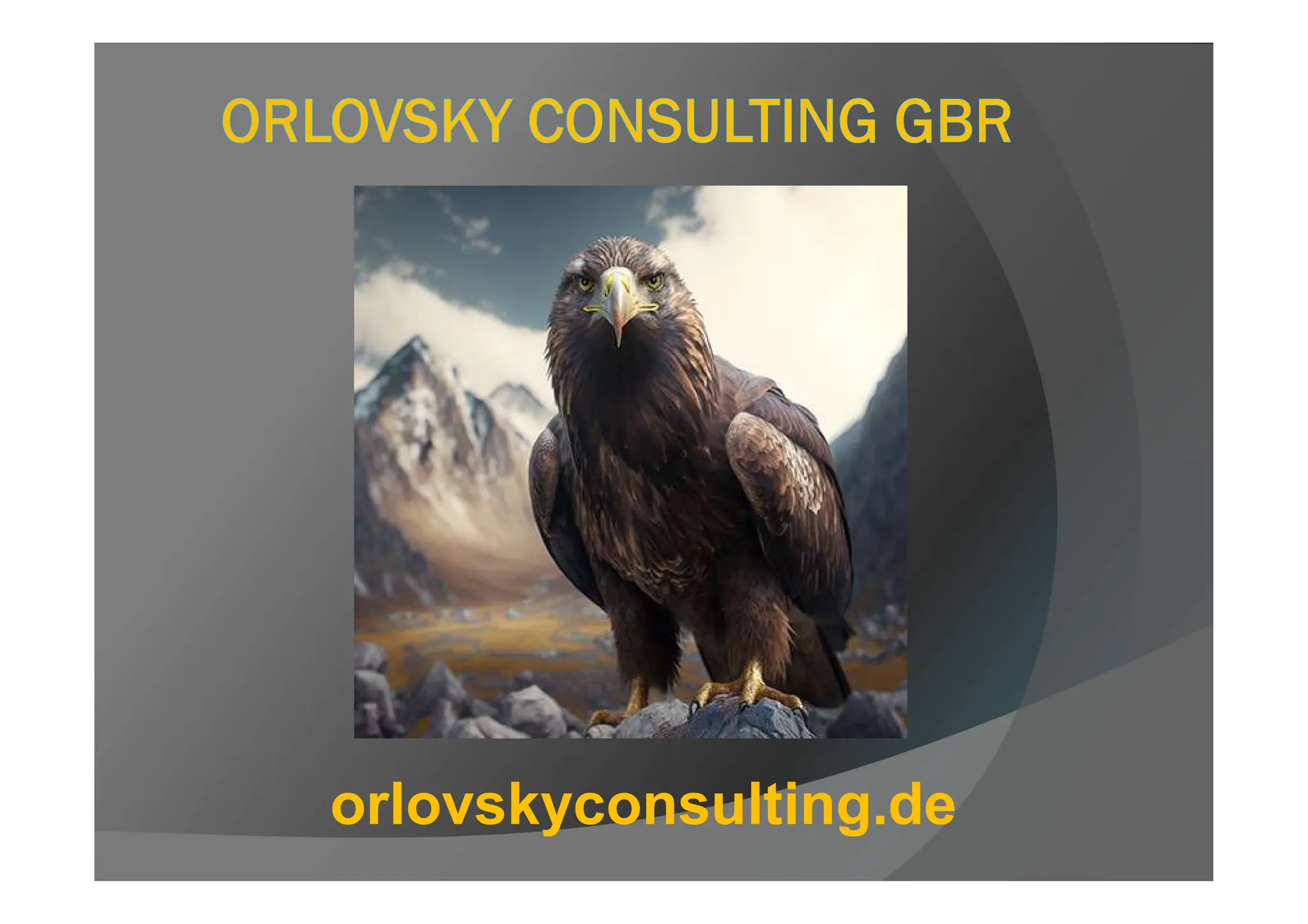 orlovskyconsulting.de
 