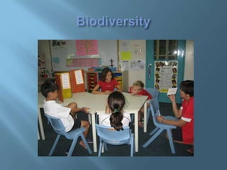 Biodiversity