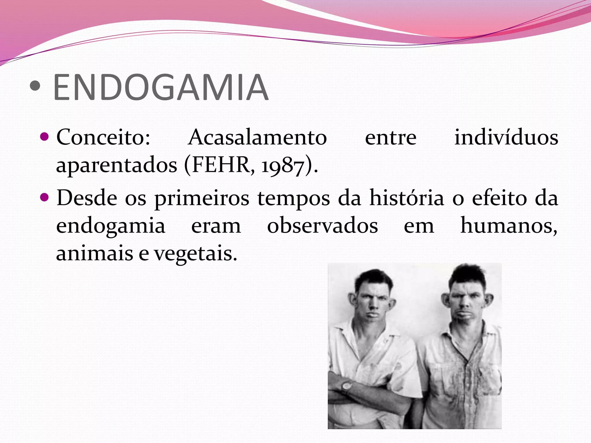 Endogamia e heterose | PPTX