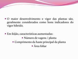  O maior desenvolvimento e vigor das plantas são,
geralmente considerados como bons indicadores do
vigor híbrido.
 Em feijão, características aumentadas:
 Número de vagens / planta
 Comprimento da haste principal da planta
 Área foliar
 